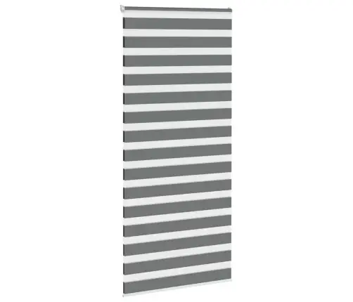 Žalūzijas Zebra 110X200 Cm Auduma Platums 105,9 Cm Poliesters Vidaxl