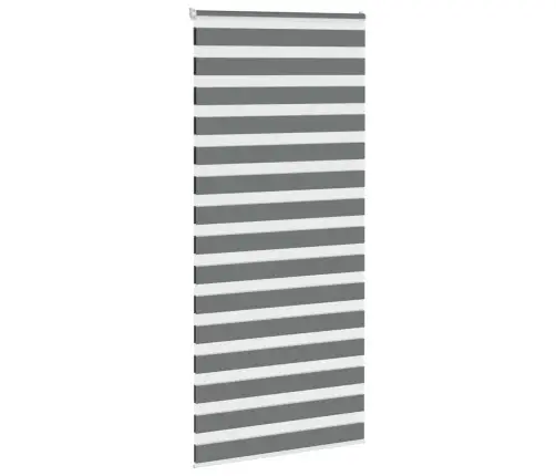 Žalūzijas Zebra 115X200 Cm Auduma Platums 110,9 Cm Poliesters Vidaxl