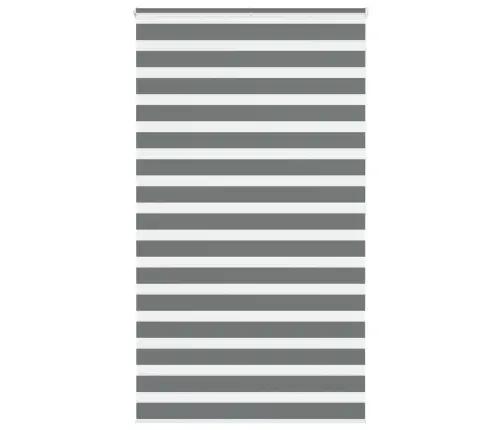 Žalūzijas Zebra 130X200 Cm Auduma Platums 125,9 Cm Poliesters Vidaxl