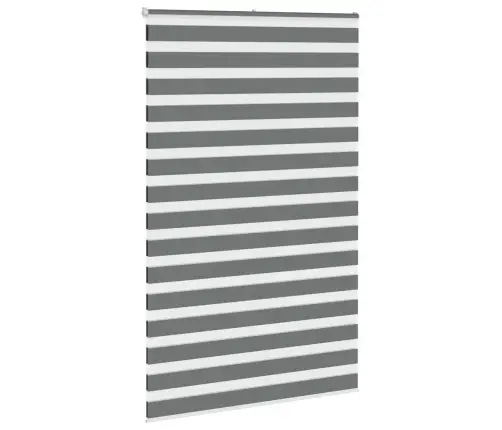 Žalūzijas Zebra 140X200 Cm Auduma Platums 135,9 Cm Poliesters Vidaxl