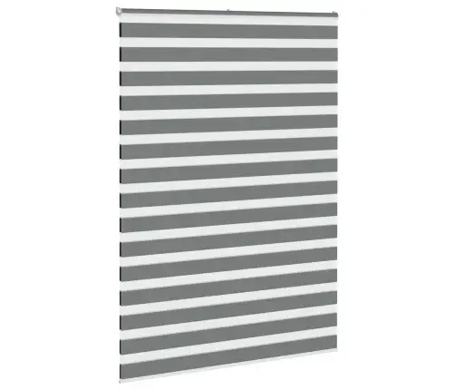 Žalūzijas Zebra 155X200 Cm Auduma Platums 150,9 Cm Poliesters Vidaxl Žalūzijas Zebra 155X200 Cm Auduma Platums 150,9 Cm Poliesters Vidaxl