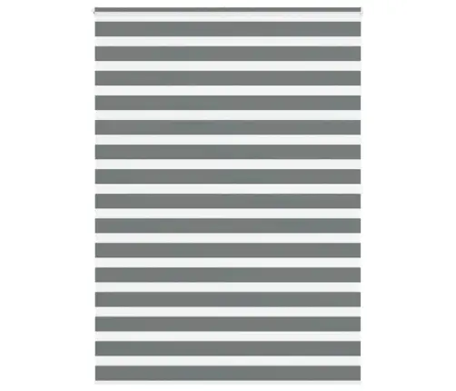 Žalūzijas Zebra 160X200 Cm Auduma Platums 155,9 Cm Poliesters Vidaxl