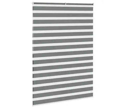 Žalūzijas Zebra 160X200 Cm Auduma Platums 155,9 Cm Poliesters Vidaxl