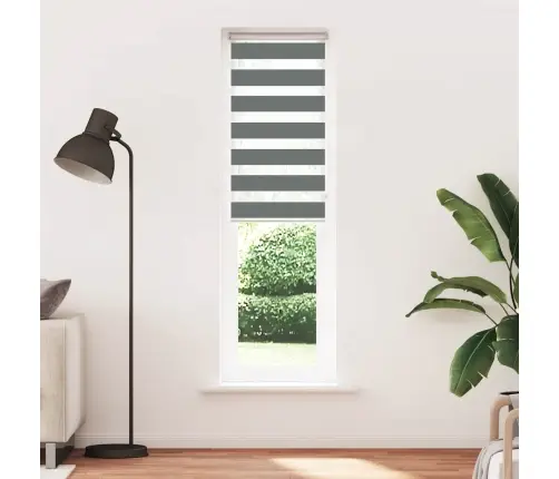 Žalūzijas Zebra 60X230 Cm Auduma Platums 55,9 Cm Poliesters Vidaxl Žalūzijas Zebra 60X230 Cm Auduma Platums 55,9 Cm Poliesters Vidaxl