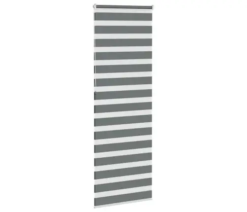 Žalūzijas Zebra 70X230 Cm Auduma Platums 65,9 Cm Poliesters Vidaxl Žalūzijas Zebra 70X230 Cm Auduma Platums 65,9 Cm Poliesters Vidaxl