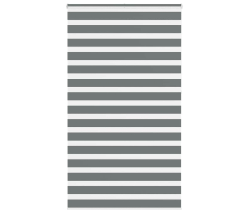 Žalūzijas Zebra 125X230 Cm Auduma Platums 120,9 Cm Poliesters Vidaxl