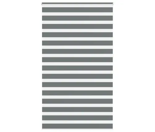 Žalūzijas Zebra 125X230 Cm Auduma Platums 120,9 Cm Poliesters Vidaxl