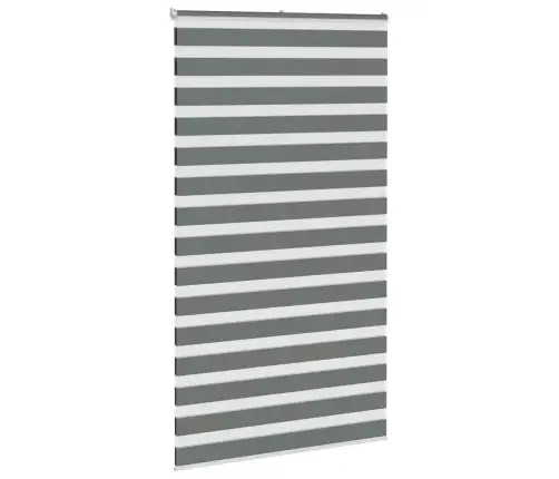 Žalūzijas Zebra 135X230 Cm Auduma Platums 130,9 Cm Poliesters Vidaxl