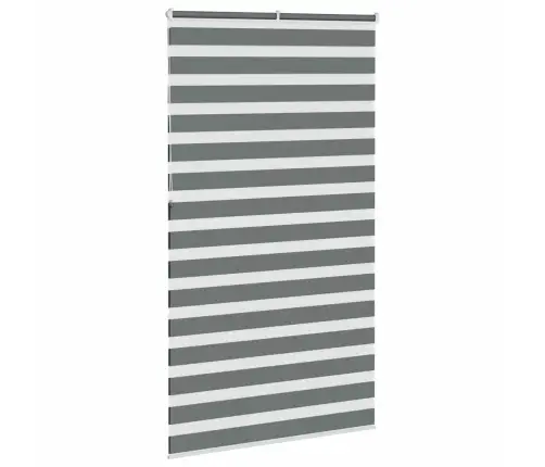 Žalūzijas Zebra 135X230 Cm Auduma Platums 130,9 Cm Poliesters Vidaxl