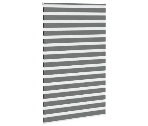 Žalūzijas Zebra 140X230 Cm Auduma Platums 135,9 Cm Poliesters Vidaxl