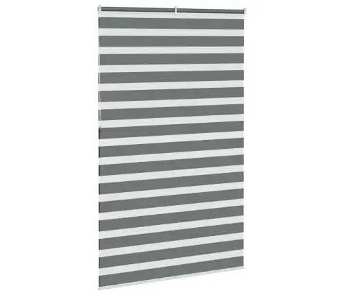 Žalūzijas Zebra 140X230 Cm Auduma Platums 135,9 Cm Poliesters Vidaxl