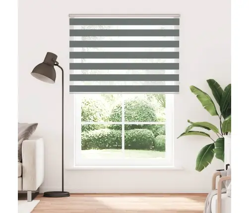 Zebrinės Žaliuzės 160X230 Cm Audinio Plotis 155,9Cm Poliesteris