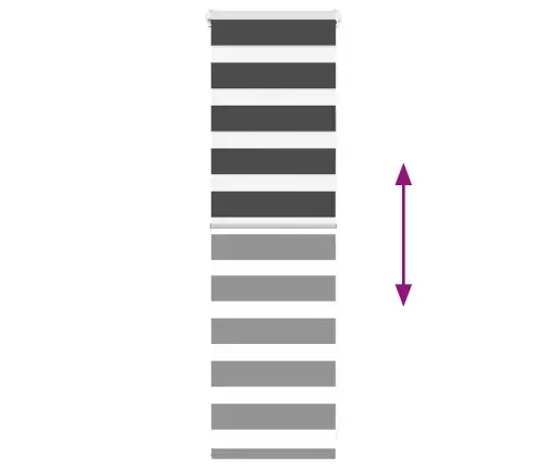 Zebrinės Žaliuzės 55X100 Cm Audinio Plotis 50,9 Cm Poliesteris