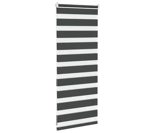 Zebrinės Žaliuzės 65X100 Cm Audinio Plotis 60,9 Cm Poliesteris