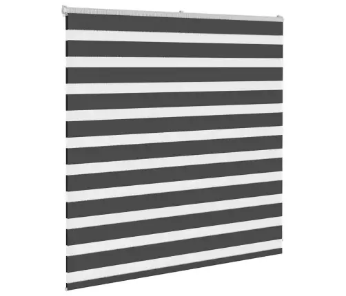 Žalūzijas Zebra 150X100 Cm Auduma Platums 145,9 Cm Poliesters Vidaxl