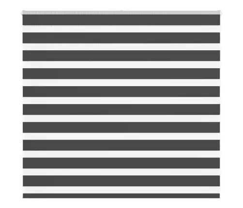 Žalūzijas Zebra 155X100 Cm Auduma Platums 150,9 Cm Poliesters Vidaxl