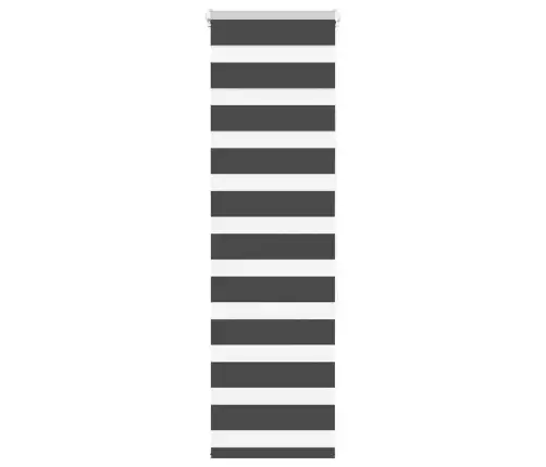Žalūzijas Zebra 40X150 Cm Auduma Platums 35,9 Cm Poliesters Vidaxl Žalūzijas Zebra 40X150 Cm Auduma Platums 35,9 Cm Poliesters Vidaxl