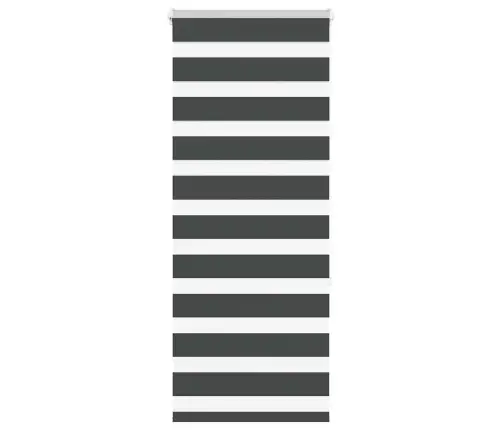 Žalūzijas Zebra 55X150 Cm Auduma Platums 50,9 Cm Poliesters Vidaxl
