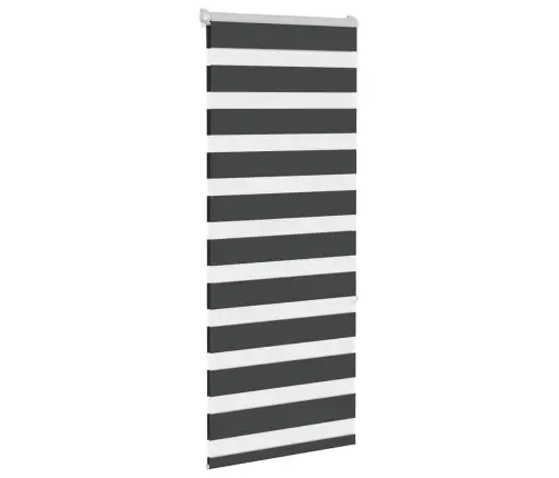 Žalūzijas Zebra 55X150 Cm Auduma Platums 50,9 Cm Poliesters Vidaxl