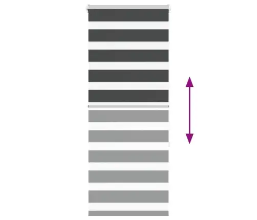 Žalūzijas Zebra 55X150 Cm Auduma Platums 50,9 Cm Poliesters Vidaxl