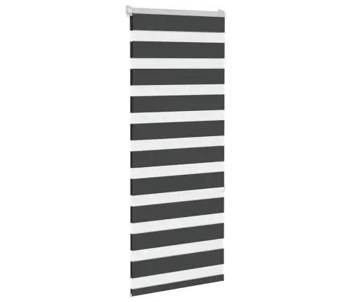 Žalūzijas Zebra 60X150 Cm Auduma Platums 55,9 Cm Poliesters Vidaxl