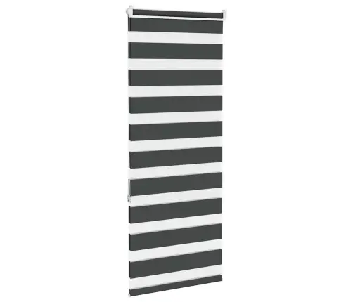Žalūzijas Zebra 65X150 Cm Auduma Platums 60,9 Cm Poliesters Vidaxl