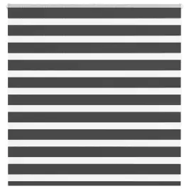 Žalūzijas Zebra 150X150 Cm Auduma Platums 145,9 Cm Poliesters Vidaxl