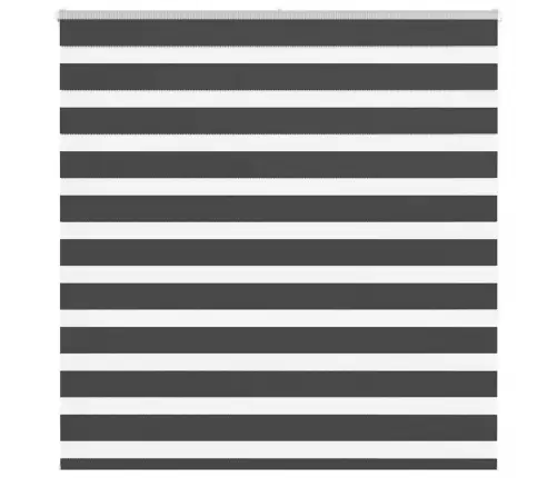 Žalūzijas Zebra 150X150 Cm Auduma Platums 145,9 Cm Poliesters Vidaxl