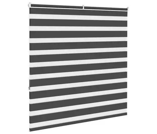 Žalūzijas Zebra 150X150 Cm Auduma Platums 145,9 Cm Poliesters Vidaxl