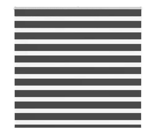 Žalūzijas Zebra 165X150 Cm Auduma Platums 160,9 Cm Poliesters Vidaxl