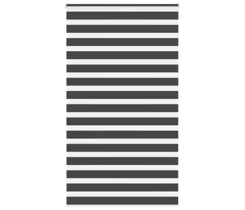 Zebrinės Žaliuzės 125X200 Cm Audinio Plotis 120,9Cm Poliesteris