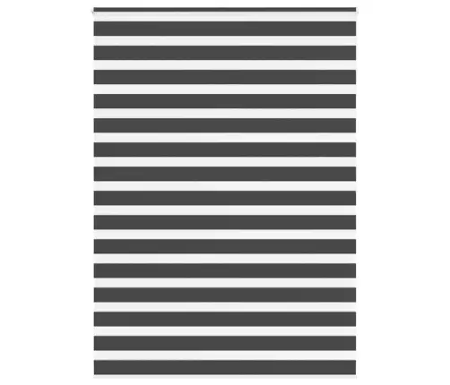 Žalūzijas Zebra 165X200 Cm Auduma Platums 160,9 Cm Poliesters Vidaxl