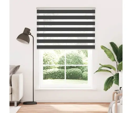 Žalūzijas Zebra 165X200 Cm Auduma Platums 160,9 Cm Poliesters Vidaxl