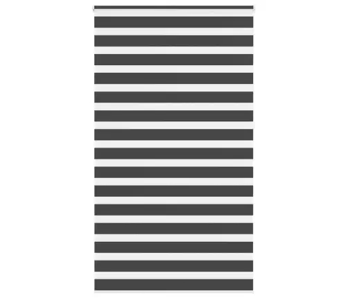 Žalūzijas Zebra 120X230 Cm Auduma Platums 115,9 Cm Poliesters Vidaxl