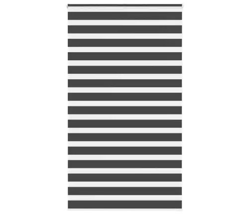 Žalūzijas Zebra 125X230 Cm Auduma Platums 120,9 Cm Poliesters Vidaxl