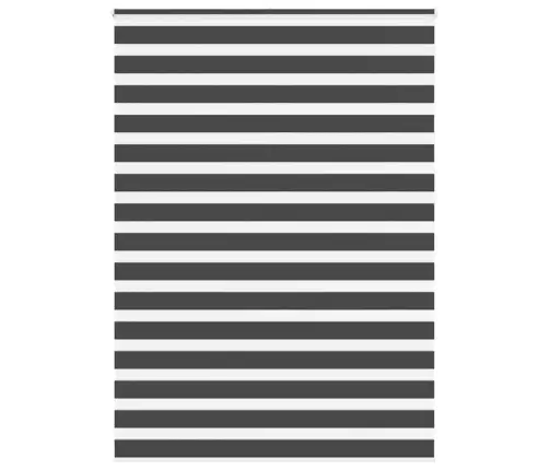 Žalūzijas Zebra 165X230 Cm Auduma Platums 160,9 Cm Poliesters Vidaxl