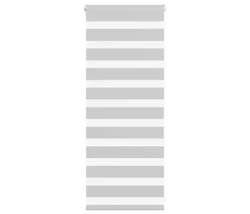 Zebrinės Žaliuzės 60X100 Cm Audinio Plotis 55,9 Cm Poliesteris