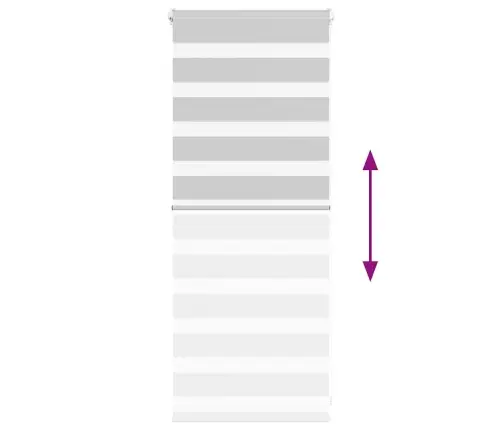 Zebrinės Žaliuzės 60X100 Cm Audinio Plotis 55,9 Cm Poliesteris