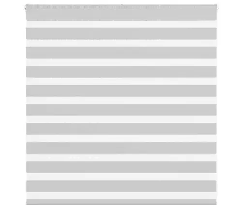 Žalūzijas Zebra 150X100 Cm Auduma Platums 145,9 Cm Poliesters Vidaxl