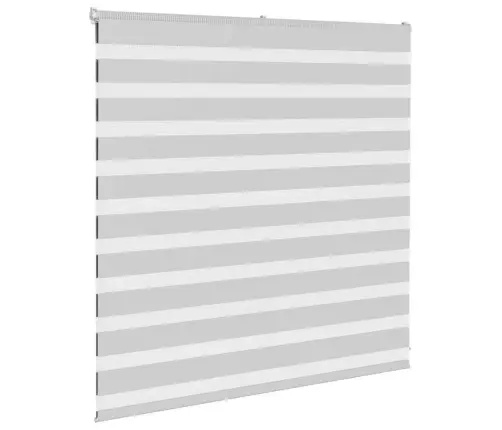 Žalūzijas Zebra 150X100 Cm Auduma Platums 145,9 Cm Poliesters Vidaxl