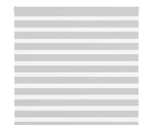 Žalūzijas Zebra 160X100 Cm Auduma Platums 155,9 Cm Poliesters Vidaxl