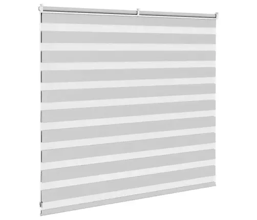 Žalūzijas Zebra 160X100 Cm Auduma Platums 155,9 Cm Poliesters Vidaxl