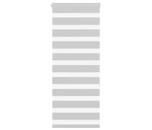 Žalūzijas Zebra 60X150 Cm Auduma Platums 55,9 Cm Poliesters Vidaxl