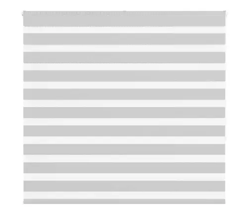 Triibuline Ruloo 155X150 Cm Kanga Laius 150,9 Cm Polüester