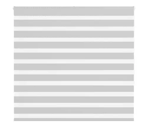 Žalūzijas Zebra 165X150 Cm Auduma Platums 160,9 Cm Poliesters Vidaxl