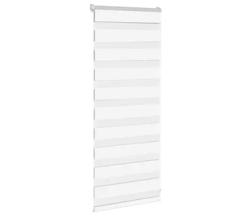 Žalūzijas Zebra 60X100 Cm Auduma Platums 55,9 Cm Poliesters Vidaxl
