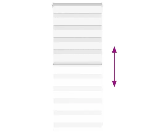 Žalūzijas Zebra 60X100 Cm Auduma Platums 55,9 Cm Poliesters Vidaxl