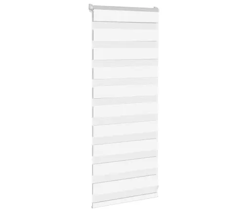 Žalūzijas Zebra 65X100 Cm Auduma Platums 60,9 Cm Poliesters Vidaxl