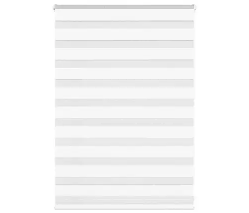 Žalūzijas Zebra 100X100 Cm Auduma Platums 95,9 Cm Poliesters Vidaxl