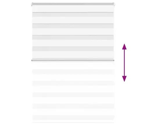 Žalūzijas Zebra 100X100 Cm Auduma Platums 95,9 Cm Poliesters Vidaxl